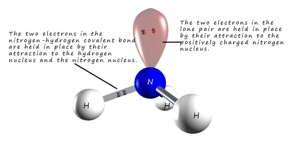 An ammonia molecule has one lone pair of electrons, 3d model of an ammonia molecule showing the lone pair or non-bonding pair of electrons.